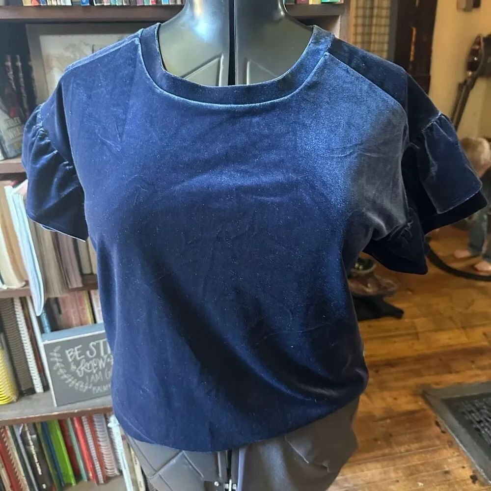 Madewell blue velvet minimalist sustainable S blouse